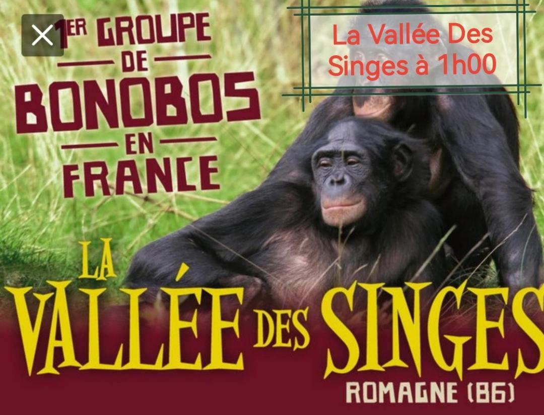 Holiday home De Charme Dans Un Cadre Calme Et Reposant *
